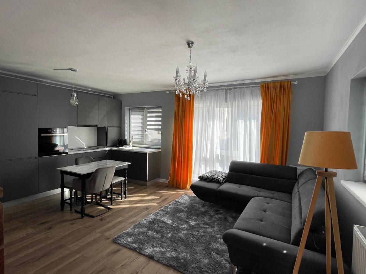 Tiberiu Ricci Apartament Сібіу Екстер'єр фото